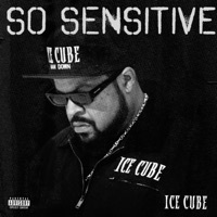 Thumbnail for the Ice Cube - So Sensitive link, provided by host site