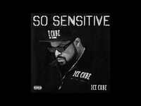 Thumbnail for the Ice Cube - So Sensitive link, provided by host site