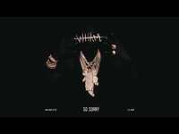 Thumbnail for the Lil Baby - So Sorry (Official Visualizer) link, provided by host site