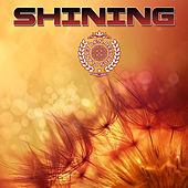 Thumbnail for the Sirius Isness - So Weird link, provided by host site