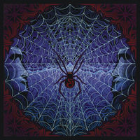Thumbnail for the The String Cheese Incident - So What link, provided by host site