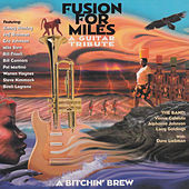 Thumbnail for the Mike Stern - So What link, provided by host site