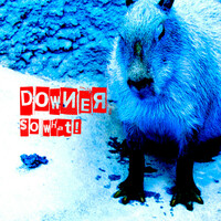 Thumbnail for the Downer - So What! link, provided by host site