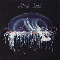 Thumbnail for the Mimi - Soak link, provided by host site