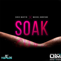 Thumbnail for the Chris Martin - Soak link, provided by host site