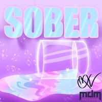 Thumbnail for the Ark - Sober link, provided by host site