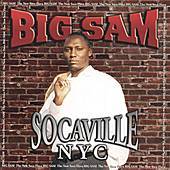 Thumbnail for the Big Sam - Socaville NYC link, provided by host site