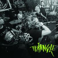 Thumbnail for the Triangle - Society Burden link, provided by host site