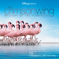 Thumbnail for the The Cinematic Orchestra - Soda link, provided by host site