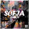 Thumbnail for the Brevis - Sofia link, provided by host site