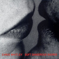Thumbnail for the Chris Whitley - Soft Dangerous Shores link, provided by host site