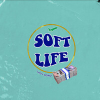 Thumbnail for the Lady Donli - Soft Life link, provided by host site