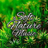 Thumbnail for the The Rest - Soft Nature Music – Easy Listening, New Age Nature Melodies, Music to Calm Down, Sounds to Relax, Chilled Note link, provided by host site