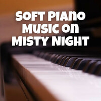 Thumbnail for the Soft Background Music - Soft Piano Music on Misty Night link, provided by host site