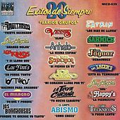 Thumbnail for the Varios Artistas - Sol link, provided by host site