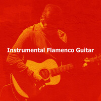 Thumbnail for the Flamenco Guitar Masters - Solace Lament link, provided by host site