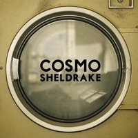 Image of Cosmo Sheldrake linking to their artist page due to link from them being at the top of the main table on this page
