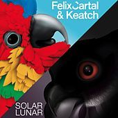 Thumbnail for the Felix Cartal - Solar link, provided by host site