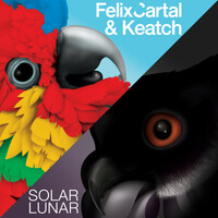 Thumbnail for the Felix Cartal - Solar link, provided by host site