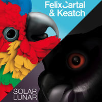 Thumbnail for the Felix Cartal - Solar link, provided by host site