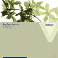Thumbnail for the Deep Space Organisms - Solar Rhythms link, provided by host site