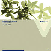 Thumbnail for the Deep Space Organisms - Solar Rhythms link, provided by host site