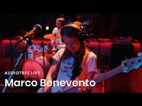 Thumbnail for the Marco Benevento - Solid Gold | Audiotree Live link, provided by host site