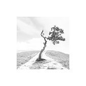 Thumbnail for the Manna - Solitude No. 1 in B-Flat Major link, provided by host site