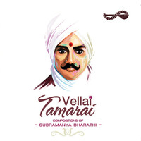 Thumbnail for the Sudha Ragunathan - Soll Vallayo Killye - Ragamalikai - Chathusra Ekam link, provided by host site