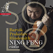 Thumbnail for the Ning Feng - Solo 2 link, provided by host site