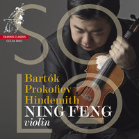 Thumbnail for the Ning Feng - Solo 2 link, provided by host site