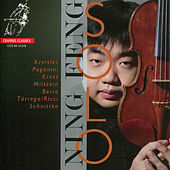 Image of Ning Feng linking to their artist page due to link from them being at the top of the main table on this page