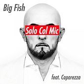 Thumbnail for the Big Fish - Solo Col Mic link, provided by host site