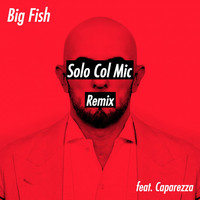 Thumbnail for the Big Fish - Solo Col Mic (Remix) link, provided by host site
