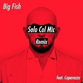 Thumbnail for the Big Fish - Solo Col Mic [Remix] link, provided by host site