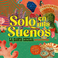 Thumbnail for the La Santa Cecilia - Solo En Mis Sueños link, provided by host site