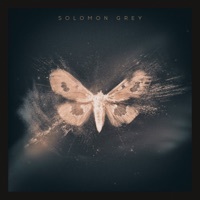 Thumbnail for the Solomon Grey - Solomon Grey link, provided by host site