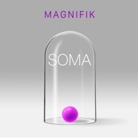Thumbnail for the Magnifik - Soma link, provided by host site