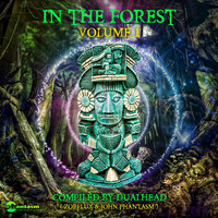 Thumbnail for the Coming Soon!!! - Some Kind of Acid - Original Mix link, provided by host site