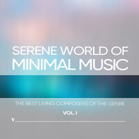 Thumbnail for the Ólafur Arnalds - Some Kind of Peace: No. 5, Back to the Sky link, provided by host site