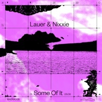 Thumbnail for the Lauer - Some Of It link, provided by host site