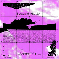 Thumbnail for the Lauer - Some Of It link, provided by host site