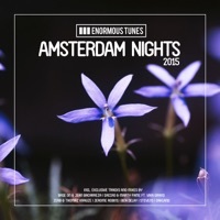 Thumbnail for the Zerb - Somebody Else (Radio Mix) link, provided by host site