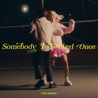 Thumbnail for the ZOLITA - Somebody I F*cked Once (The Extras) link, provided by host site