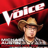 Thumbnail for the Michael Austin - Somebody Like You (The Voice Performance) link, provided by host site