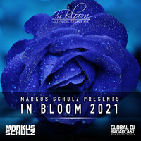 Thumbnail for the Aly & Fila - Somebody Loves You (In Bloom 2021) - Paul Thomas Remix link, provided by host site