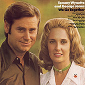 Thumbnail for the Tammy Wynette - Someone I Used To Know link, provided by host site