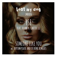 Thumbnail for the YSE - Someone Like You link, provided by host site