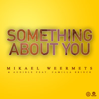 Thumbnail for the Mikael Weermets - Something About You link, provided by host site