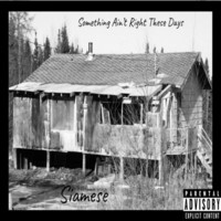 Thumbnail for the Siamese - Something Ain't Right These Days link, provided by host site